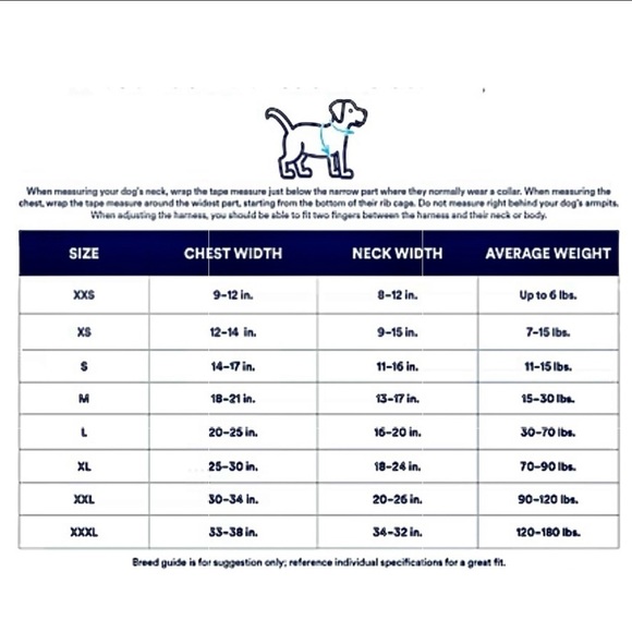 EVERYYAY Easy On Training Dog Harness in Blue - Picture 9 of 11